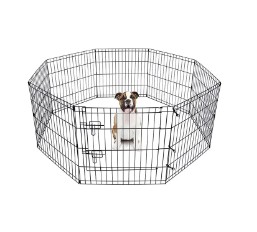 Hvordan vælger man den rigtige burstørrelse og -funktioner til forskellige kæledyr?